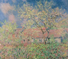 Nieznany obraz