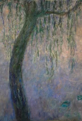 Lilie wodne (olej na płótnie)