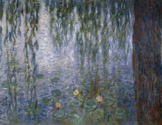 Lilie wodne, Claude Monet, detal
