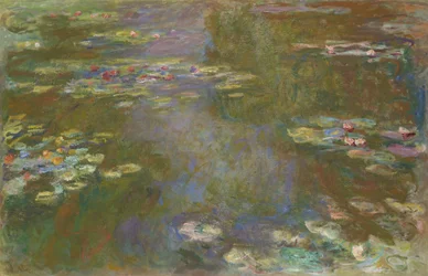 Staw lilii wodnych, 191719.