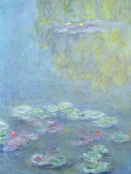 Lilie wodne, 1906 (detal z 242510)