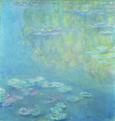 Lilie wodne, 1906
