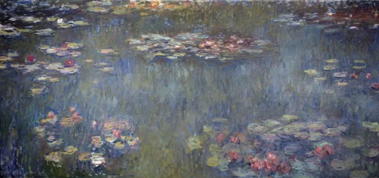 Staw z liliami wodnymi, zielone odbicie