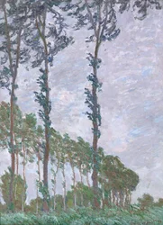 Efekt wiatru, Seria topoli, 1891