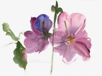 Malwy, 1988 (akwarela)