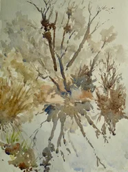 Udziec barani, Eton, 2010 (akwarela)