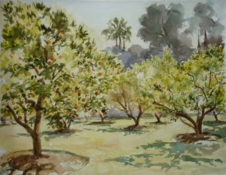 Mamounia, gaje pomarańczowe, 2000 (akwarela)