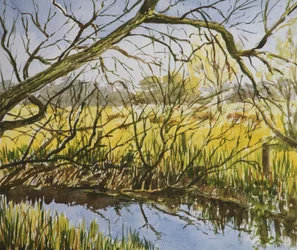 Water Meadows, Kintbury, wczesne majowe popołudnie