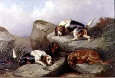 Otterhoundy, 1889