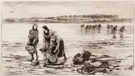 Zbieracze małży