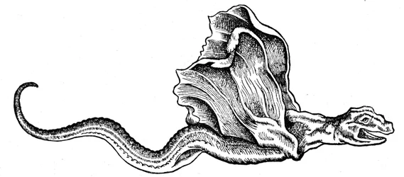 Bazyliszek