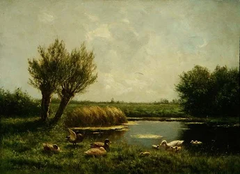 Kaczka Staw (olej na płótnie)