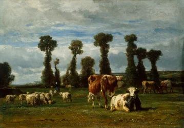 Pastwisko w Normandii