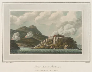Wyspa Gołębi na Martynice. Litografia (56,6x43,4 cm) autorstwa wielebnego Coopera Willyamsa (1762-1816).