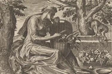 Smak z Pięciu zmysłów, 1561.