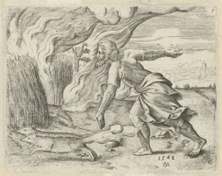 Samson podpala pola kukurydzy Filistynów Historia Samsona (tytuł serii)