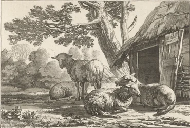 owczarnia