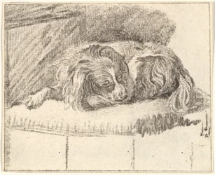Śpiący pies, 1777.