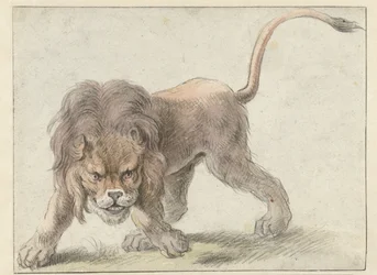 Lew