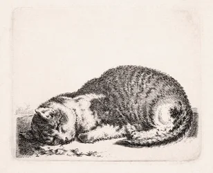 Śpiący kot, ok. 1607-81