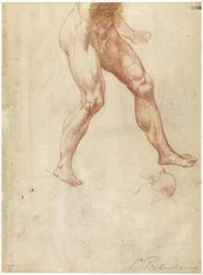 Studium dolnej części ciała chodzącego aktu męskiego