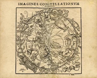 Imagines Constellationum Australium (Południowa Planeta Niebieska)