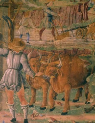 Zdjęcia życia na wsi, fragment Triumfu Ceres, scena z miesiąca sierpnia, przypisywana Cosimo Turze (ok. 1430-1495) i Mistrzowi z Ercole, fresk, północna ściana, Sala Miesiąca, Palazzo Schifanoia (Pałac Radości), Ferrara , Włochy, ok. 1470