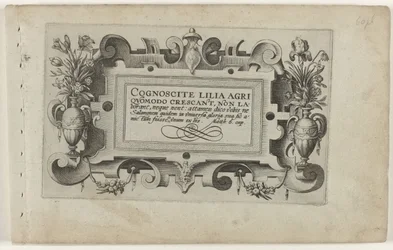 Strona tytułowa i jedenaście odbitek kwiatów, roślin i owoców Kartusz z ramą scrollwork do serii: Cognoscite lilia Cognoscite lilia (tytuł serii na obiekcie)