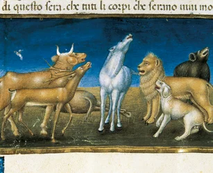 „Gwiazdy spadną z nieba na oczach zwierząt” (miniatura) Miniatura autorstwa Cristoforo De Predis (1440-1486)
