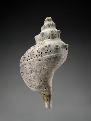 Muszla niebiańska z czaszkami, AD 900-1521 (muszla)