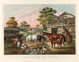American Farm Yard – rano