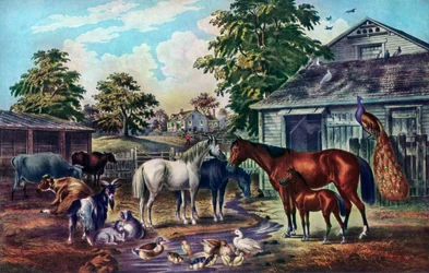 American Farm Yard rano, 1857