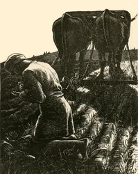 Ukryty skarb, 1864, 1928.