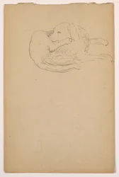 Rysunek, Dash (seter), ok. 1862 r.