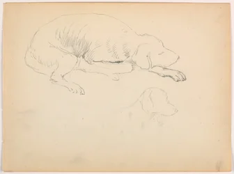 Rysunek, Milo (pointer), dwa studia, ok. 1862 r.