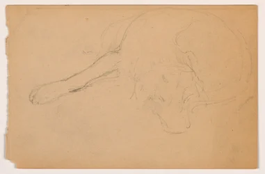 Rysunek, Miol (pointer), ok. 1862 r.