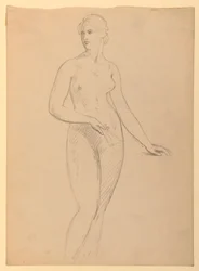 Rysunek, pani Henry Schieffelin, S, 1881 r.