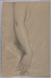 Rysunek, pani Rutherford B Hayes, 1880 r.