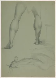 Rysunek, dwa studia anatomiczne, ok. 1850 r.