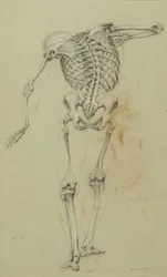 Skeleton Study, c.1848 (kreda i kredka na beżowym papierze naklejone na tekturę)
