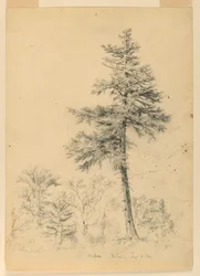 Badanie Hemlock, Gorham, New Hampshire