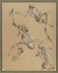 Studium szkieletów, 1848 (kreda na papierze)