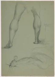 Dwa częściowe badania anatomiczne