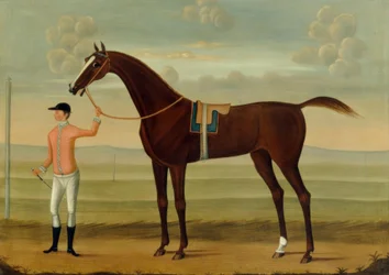 Bay Racehorse ze swoim dżokejem na torze wyścigowym