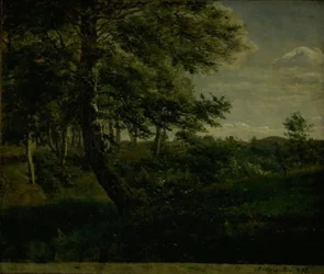 Las Ørsbjerg w Aarup, Funen