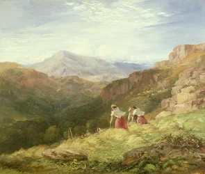 Spalanie siana, Snowdon, 1847 r.