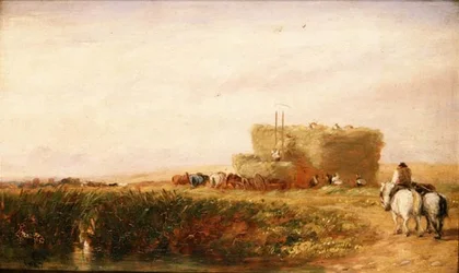 Hayfield