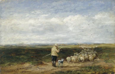 Paimen, Flockpolishin paluu