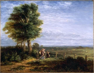 Skowronek, 1849