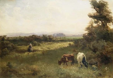 Letnie popołudnie w okolicach Blairgowrie